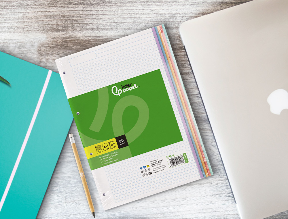 RECAMBIO LIDERPAPEL A4 120 HOJAS 90GR CUADRO 5 MM 4 TALADROS BANDAS DE 5 COLORES PASTELES
