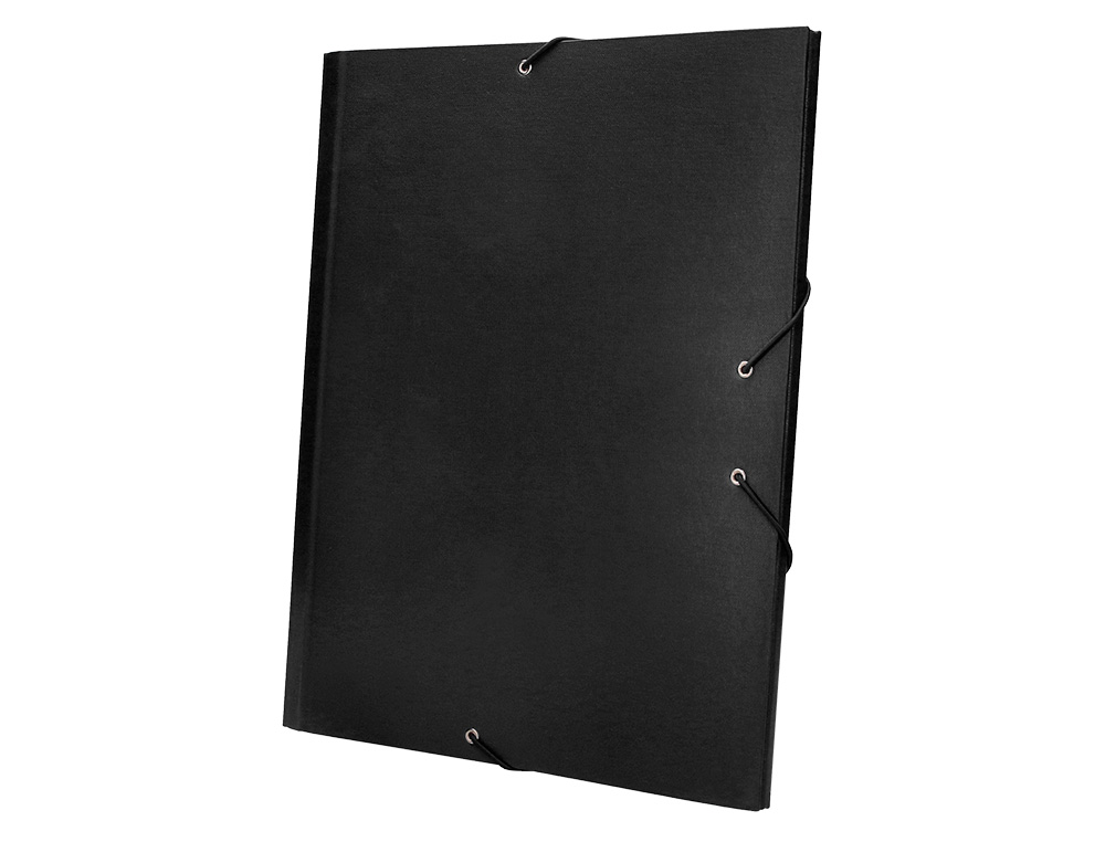 CARPETA CLASIFICADORA LIDERPAPEL 12 DEPARTAMENTOS FOLIO PROLONGADO CARTON FORRADO NEGRA
