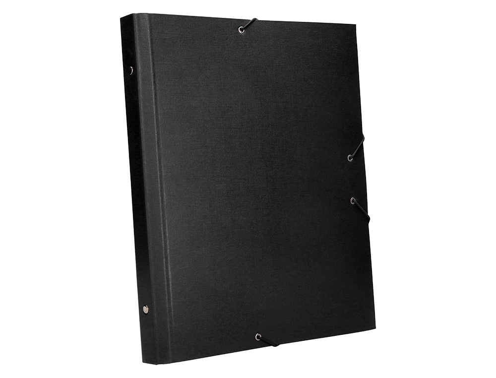 CARPETA CLASIFICADORA LIDERPAPEL 12 DEPARTAMENTOS FOLIO PROLONGADO CARTON FORRADO NEGRA