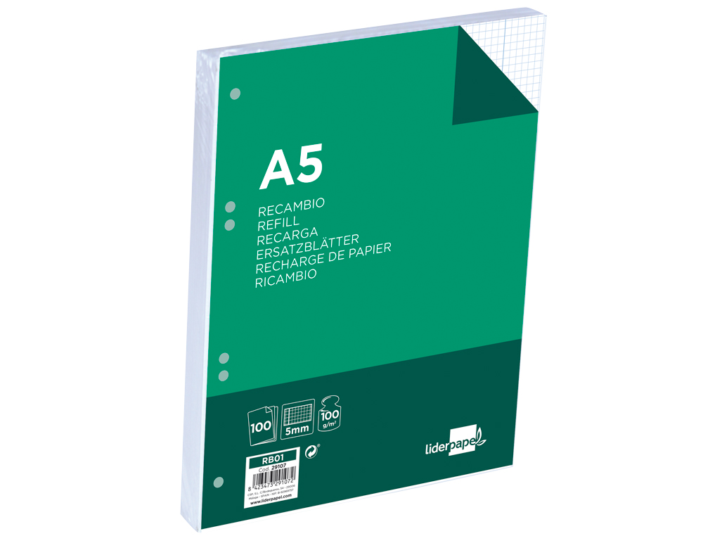 RECAMBIO LIDERPAPEL A5 100 H 100GR CUADRO 5MM CON M ARGEN 6 TALADROS