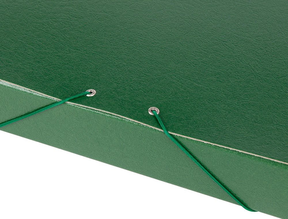 CARPETA PROYECTOS LIDERPAPEL FOLIO LOMO 50MM CARTON GOFRADO VERDE