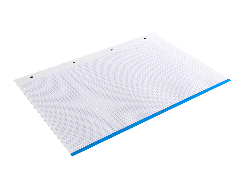 RECAMBIO LIDERPAPEL A4 100 HOJAS 100GR CUADRO 5MM 4 TALADROS BANDAS DE 5 COLORES