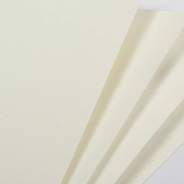 FAVINI DIGITAL BIANCOFLASH NATURAL 300